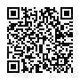 Tyre label QR code